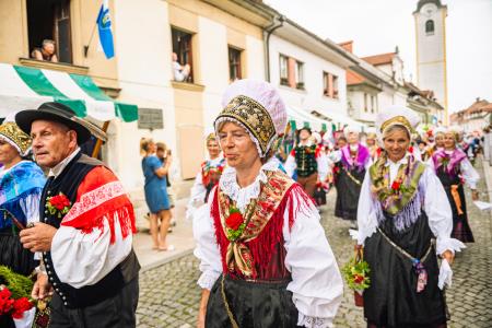 Povorka ob dnevih narodnih noš in oblačilne dedščine (88)